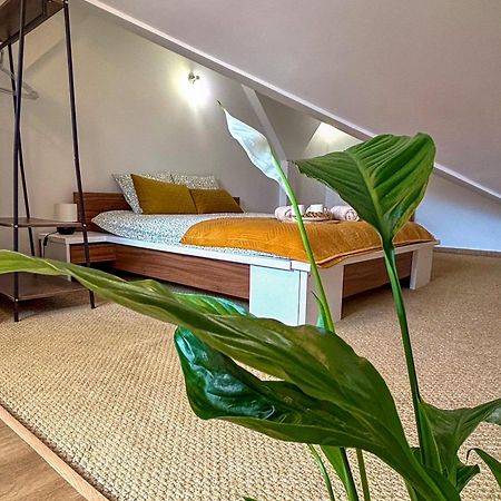 Sunset Apartment Cracow 克拉科夫 外观 照片