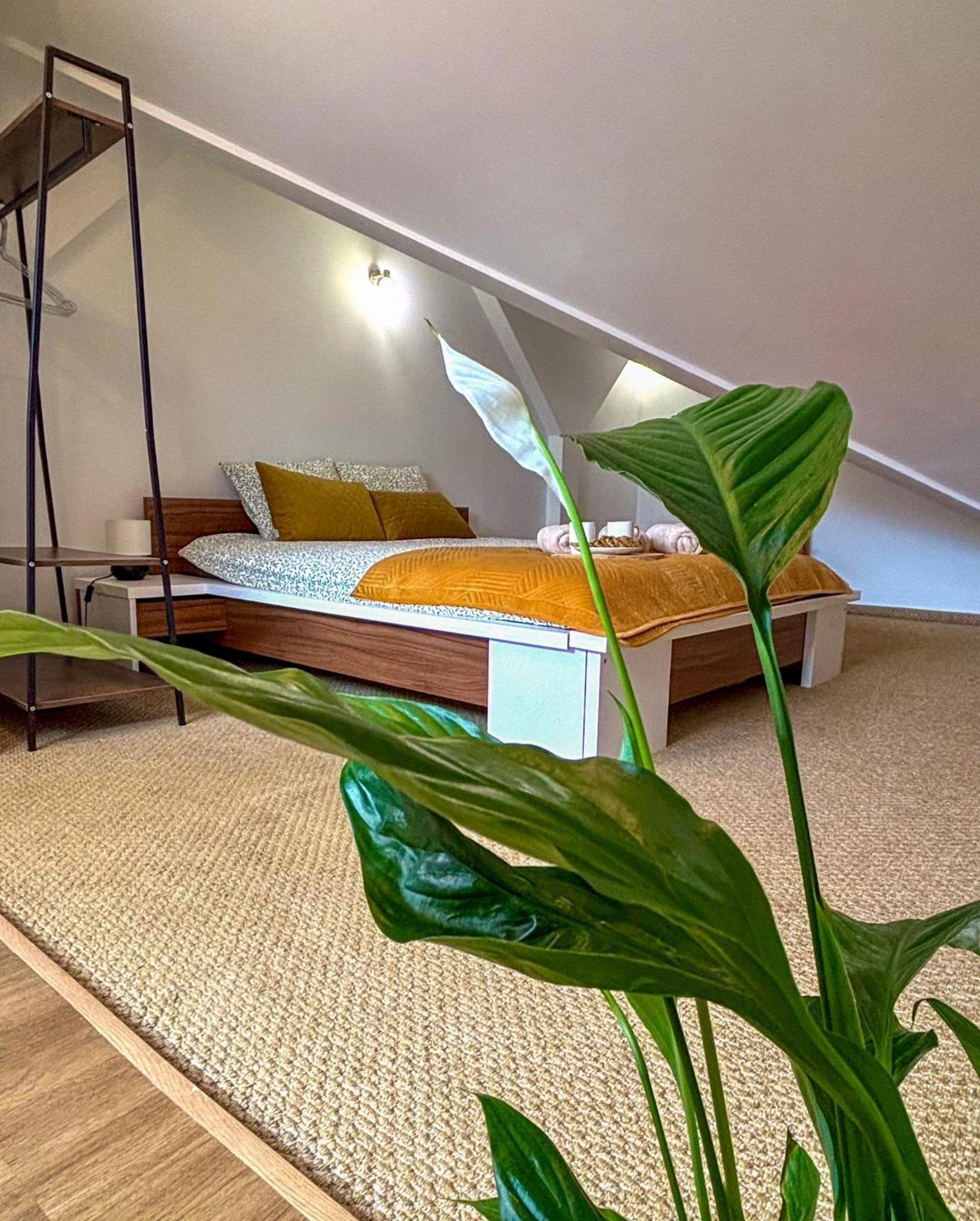 Sunset Apartment Cracow 克拉科夫 外观 照片